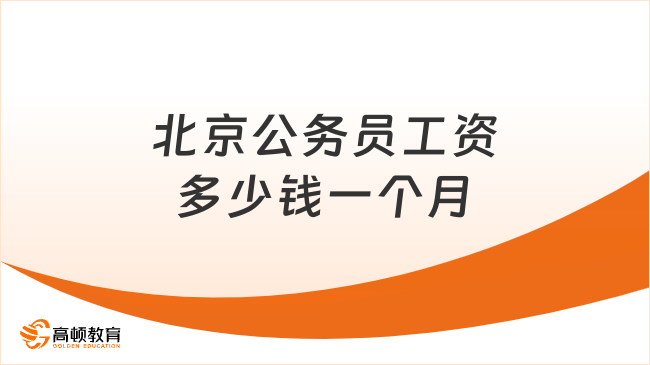 沈阳市税务局公务员报名条件解析