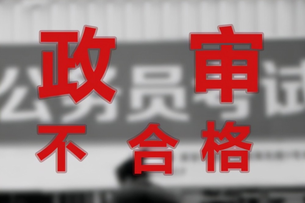 国安局政审严格性及其深层影响探究