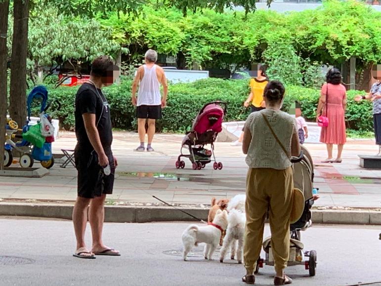 主人疏忽未牵狗绳引发悲剧，路人车祸身亡事件