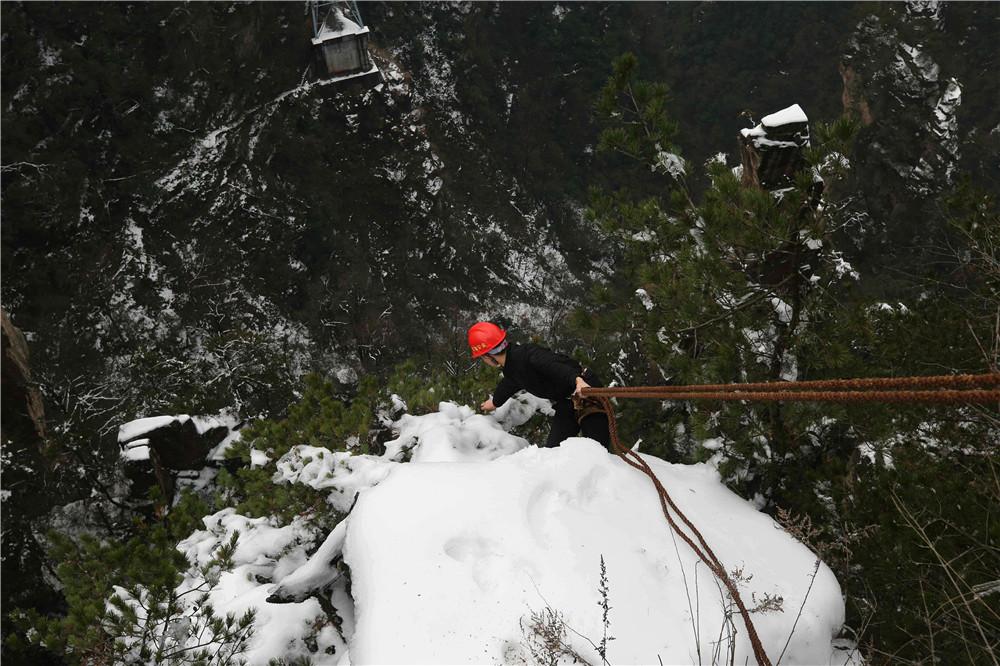 华山绝壁现功夫羊行如履平地