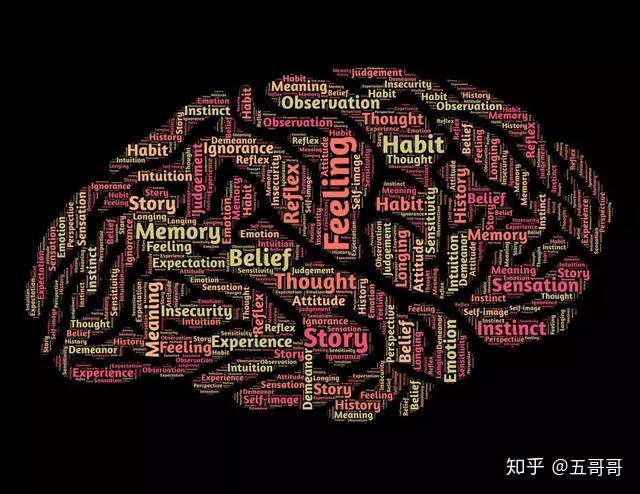 著名脑科学家为何对AI研究持保留态度？