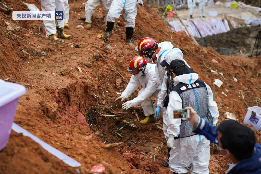 韩国客机事故致179人遇难，事件深度解析与关注焦点