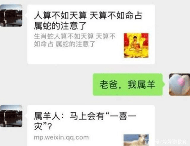 廖慧佳聊天记录曝光，真实、争议与公众人物的界限