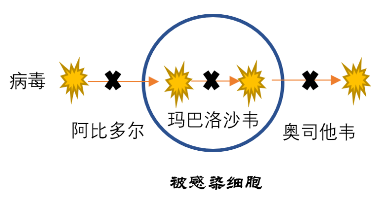 罗氏与玛巴洛沙韦充足供应，全球健康事业获强力支持