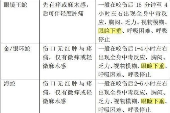 WTO鲜被提及的背后原因探究