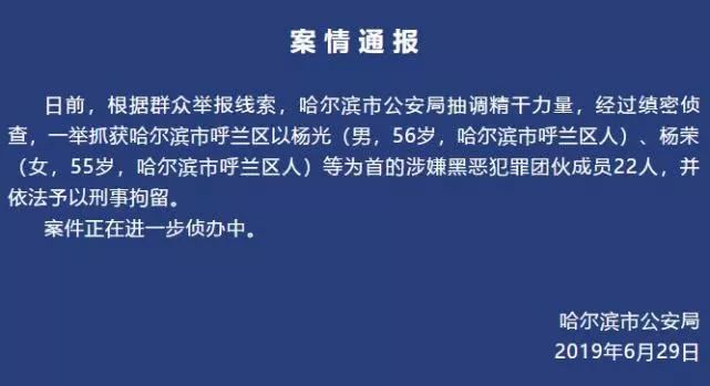 四大家族犯罪集团诉讼环节揭秘，黑暗势力的终结之战