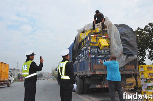 山东多地现大面积土地被挖坑取土现象，真相与影响揭秘