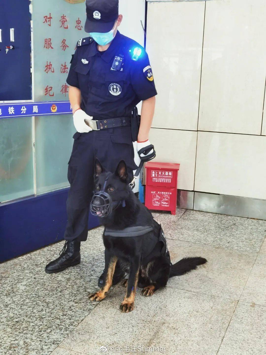 警犬上班摸鱼事件揭秘，深度分析与警方的回应