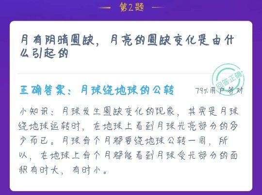 蚂蚁集团支付宝重大事故揭秘，订单优惠背后的错误源头与责任归属