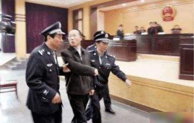 男子开枪误伤母亲事件，法院公正判决引发社会反思