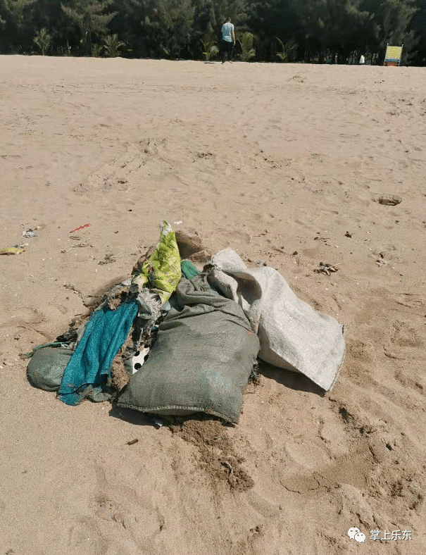 小伙埋沙一年，三亚沙滩上的行李奇遇记，一段沙滩上的励志故事