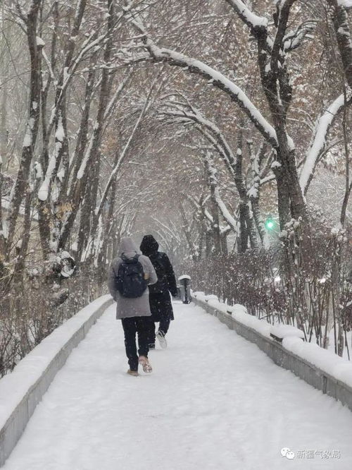 应对极端天气挑战，寒潮、暴雪、大雾预警下的生存指南