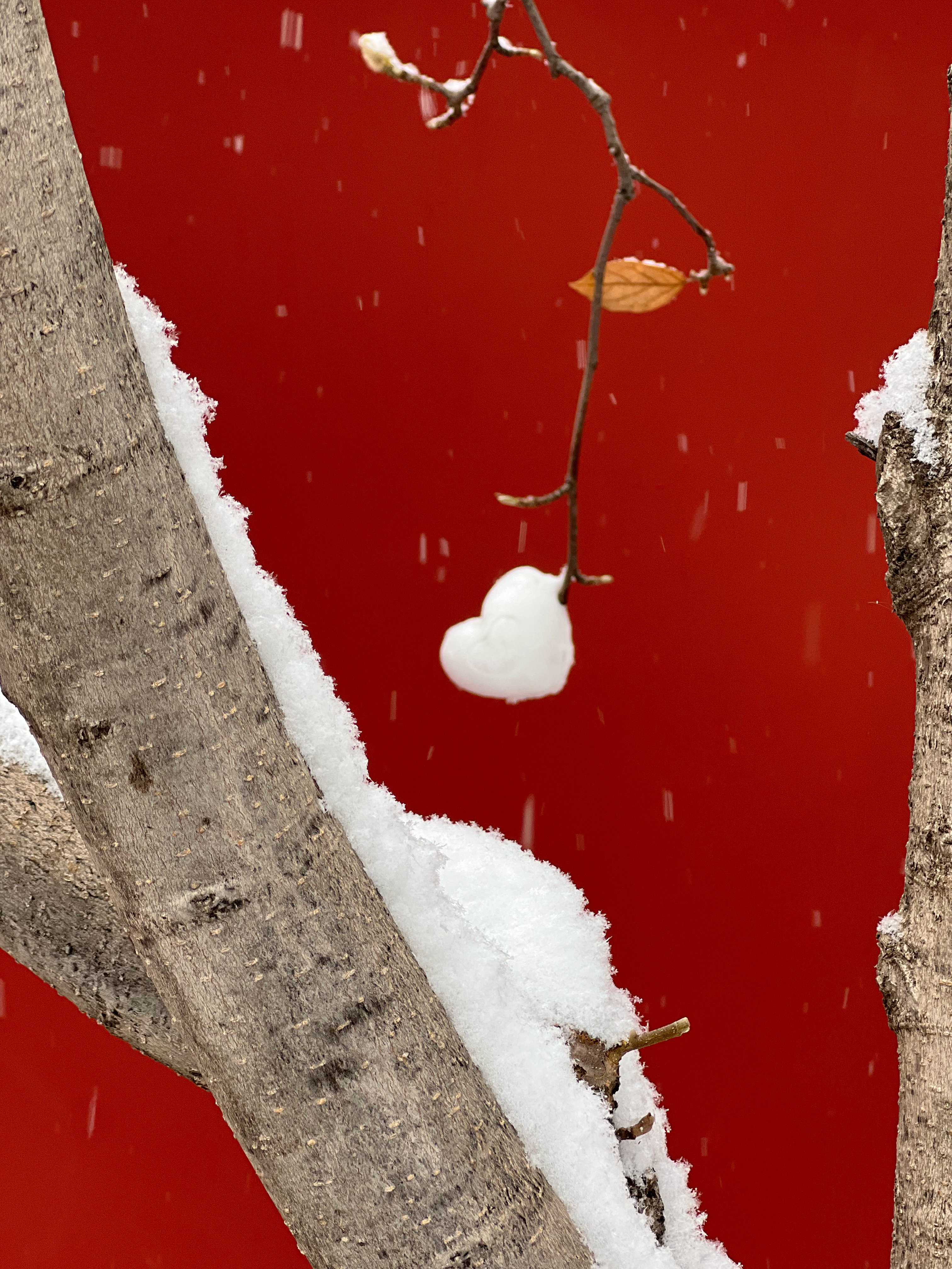 北京瑞雪纷飞