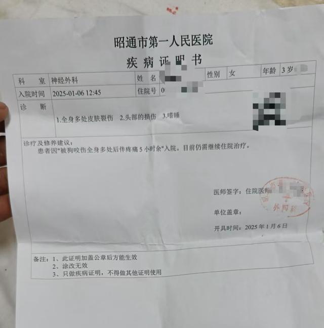 狗群袭击三岁女童后续，生命顽强与社会关注聚焦