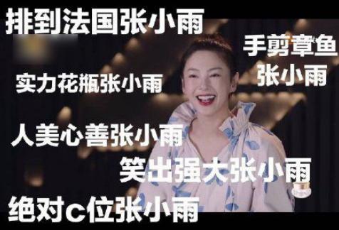 张雨绮主演电影笑傲江湖演技与角色塑造深度解析，演技与双重维度的考察