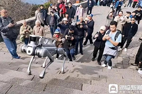 机器人引领泰山之旅，轻松攀登新体验