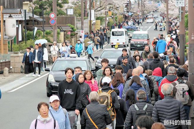 日本游客视角下的中国之旅，咳嗽声引发的深度思考