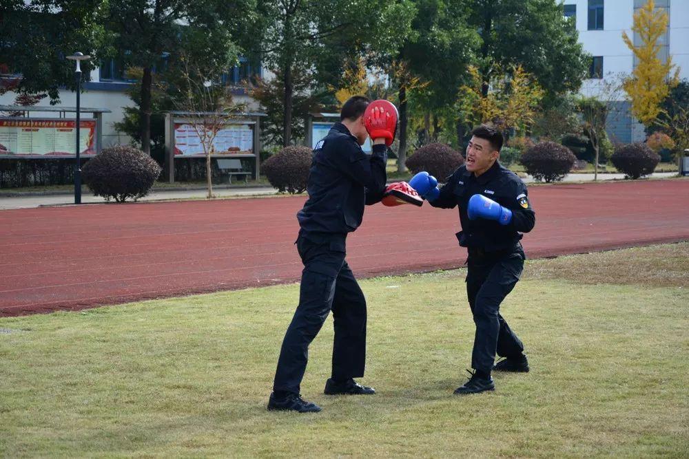 日常实践拳法与功夫，一招制胜，强身健体之道