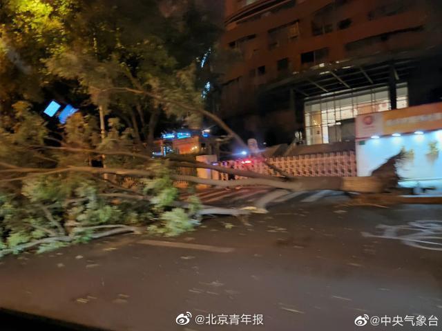 北京遭遇罕见极大风，城市与自然的力量博弈